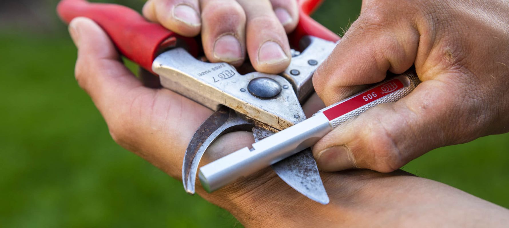Gartenscheren schärfen und pflegen