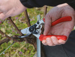 Rollgriffschere Felco 7 für große Hände