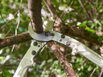 Baumschere Felco 22