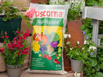 Hornspäne Oscorna