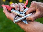 Schleifstein und Werkzeug Felco 905
