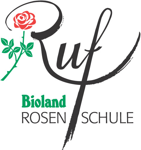 Rosenschule Ruf GbR