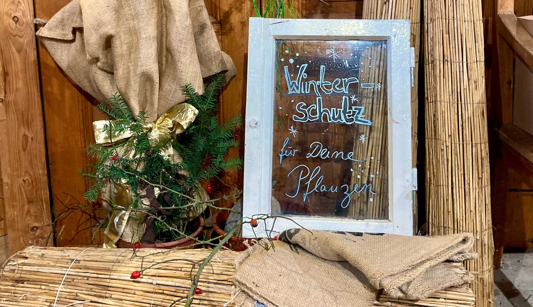 Winterschutz für Rosen – Was sollte man tun?