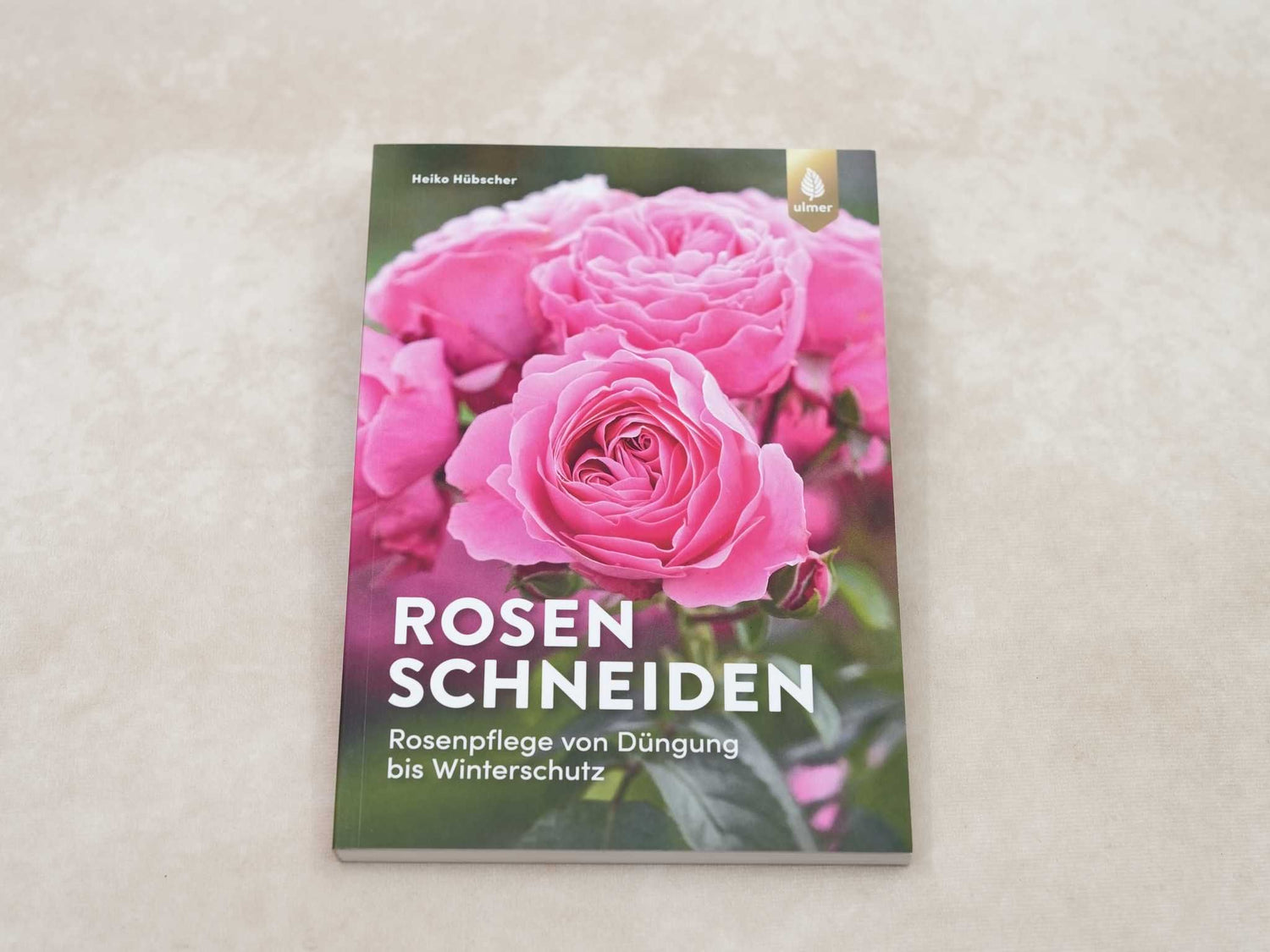 Rosen schneiden: Rosenpflege