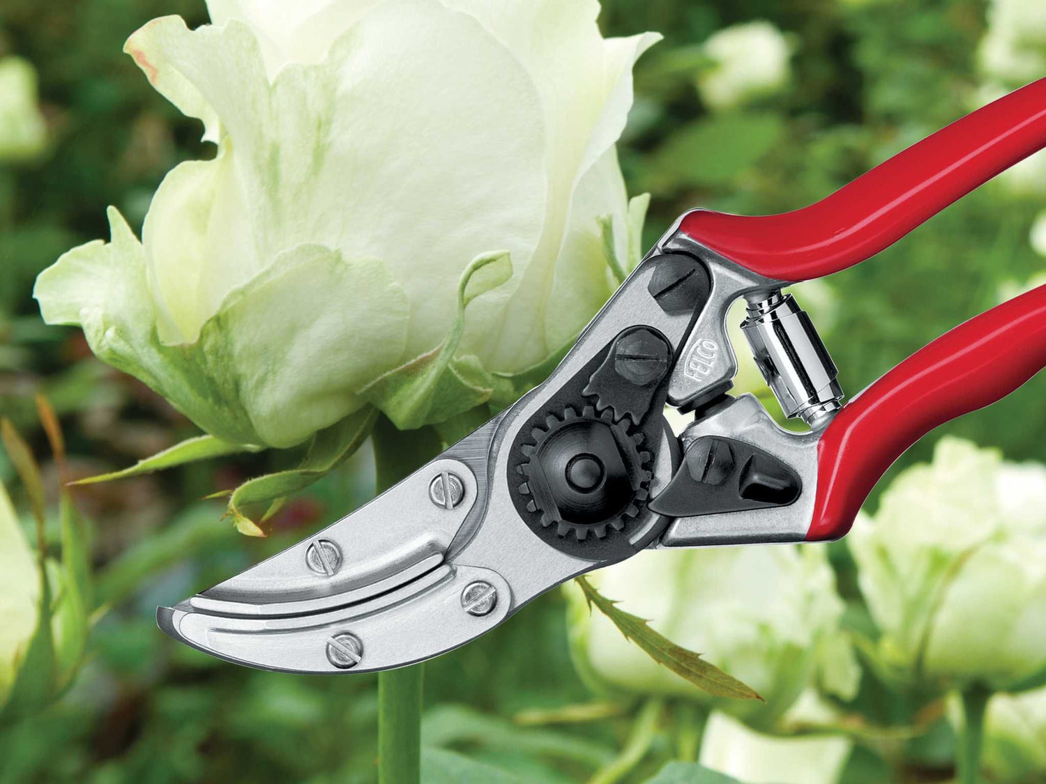 Blumenschere Felco 100