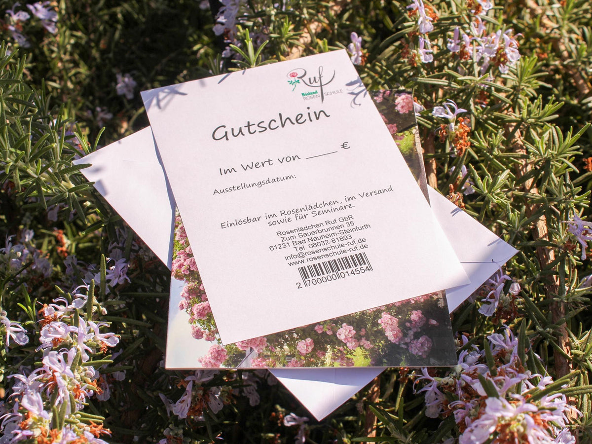 Gutscheine