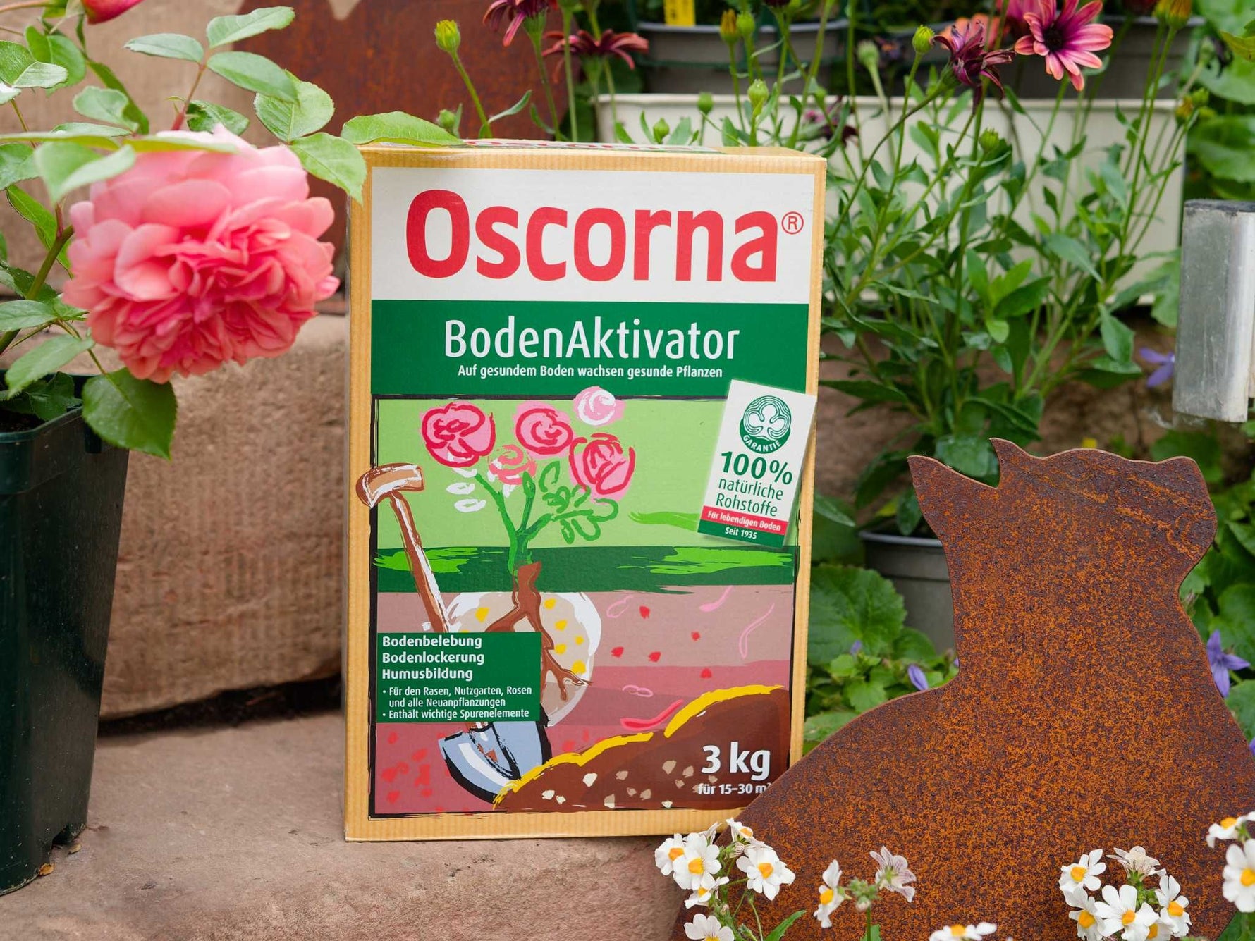 oscorna bodenaktivator und dünger gleichzeitig Bodenaktivator Oscorna – Rosenschule Ruf GbR