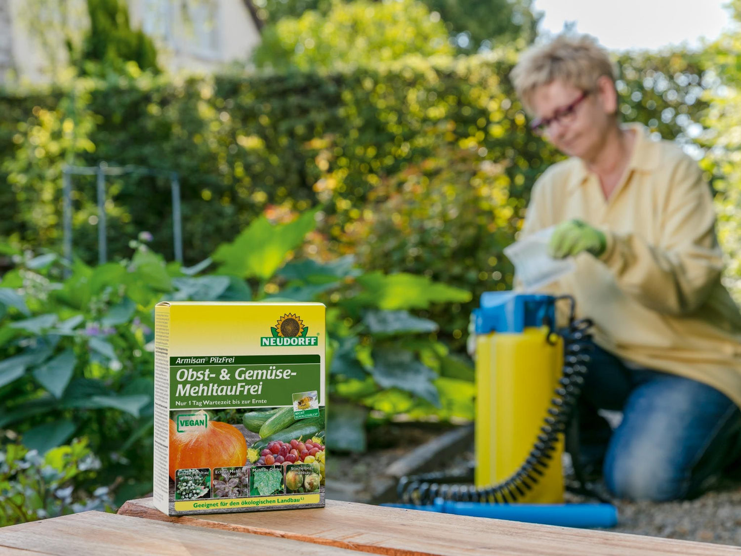 Armisan Pilzfrei Konzentrat